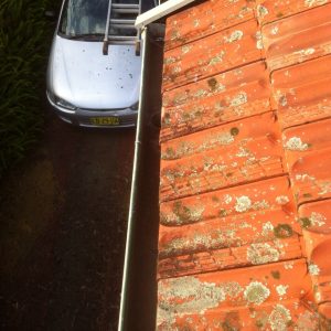 Gutter Cleaning at Ashfield