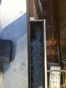 gutter cleaning at Mona Vale