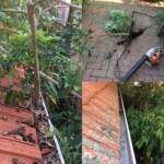gutter cleaning at Mosman