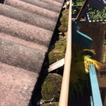 gutters with lots of moss growing